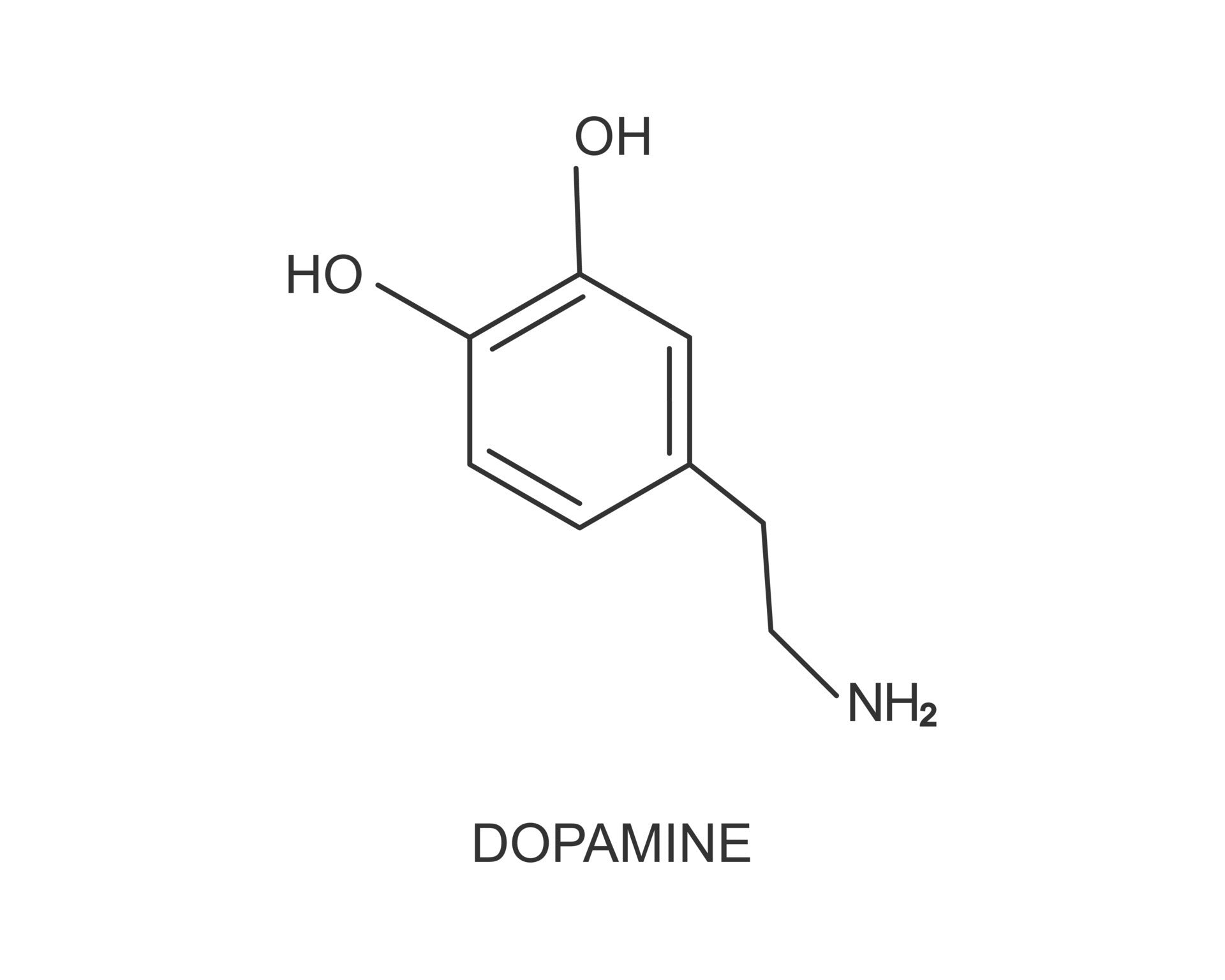 Why is Polar Plunging Being Compared to Cocaine Highs?