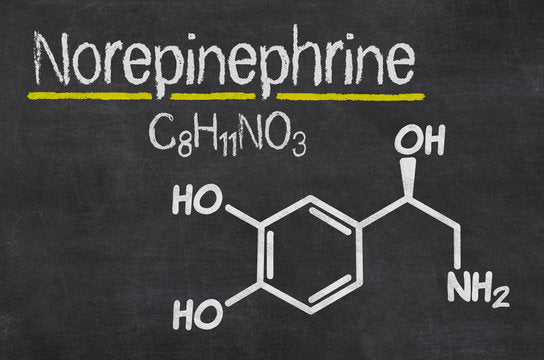 The Activation of Norepinephrine